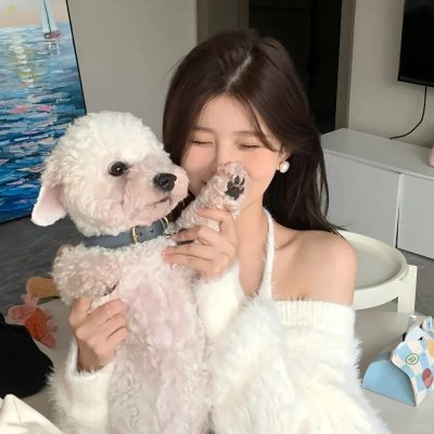 魅力四射2